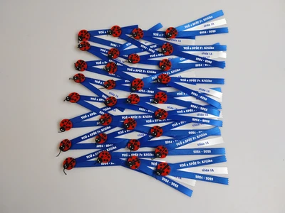 Potisk šerp pro školy