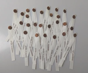 Barevné stužky s možností volby ozdob – kytičky, mašličky nebo růžičky.